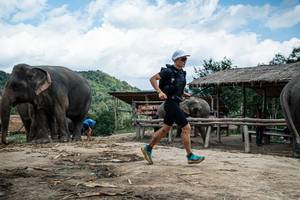 BIB: 300
                            <button type="button" onclick="openModal(22423236)" class="btn btn-primary btn-sm float-right btn-popup" data-toggle="modal" data-target=".modal-high-quality">
                        <i class="fas fa-shopping-cart"></i> Add to Cart
                    </button>
                                            <button type="button" onclick="isThisMe(22423236, true)" class="btn btn-success btn-sm float-right btn-popup btn-isme hidden" data-toggle="tooltip" data-placement="bottom" title="นี่คือรูปของคุณใช่ไหม คลิกที่นี่เพื่อเอาเข้าอัลบั้ม">
                        <i class="fas fa-plus"></i> Add to album
                    </button>
                    <button type="button" onclick="isThisMe(22423236, false)" class="btn btn-warning btn-sm float-right btn-popup btn-isnotme hidden">
                        <i class="fas fa-ban"></i> Remove from album
                    </button>